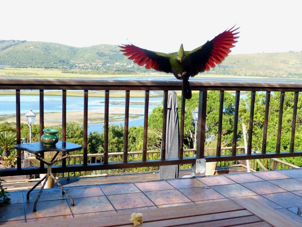 Knysnaviews Guest House Camera foto